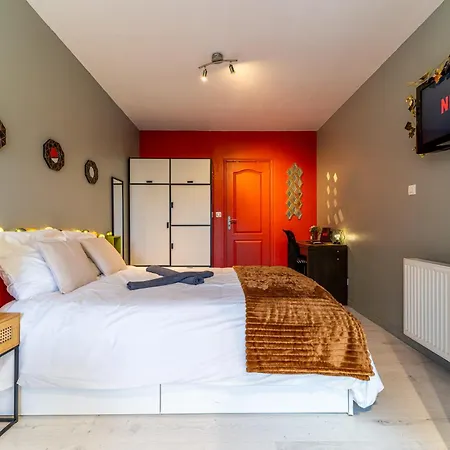 L Orea - Canon D Or - Terrasse - Wifi - Parking Gratuit Lambersart